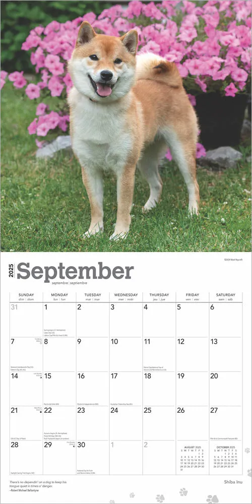 2025 Shiba Inu Wall Calendar