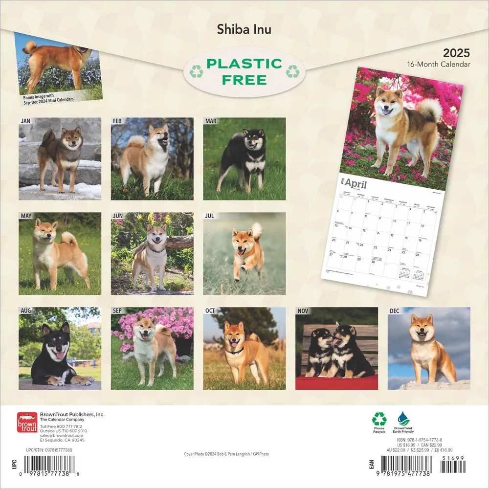 2025 Shiba Inu Wall Calendar