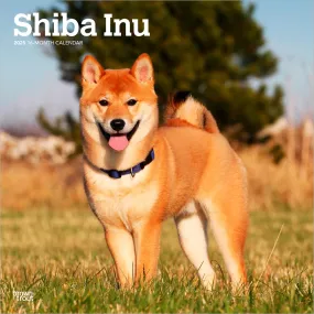 2025 Shiba Inu Wall Calendar