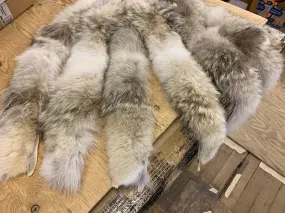 Coyote Hood Ruffs- #1 quality