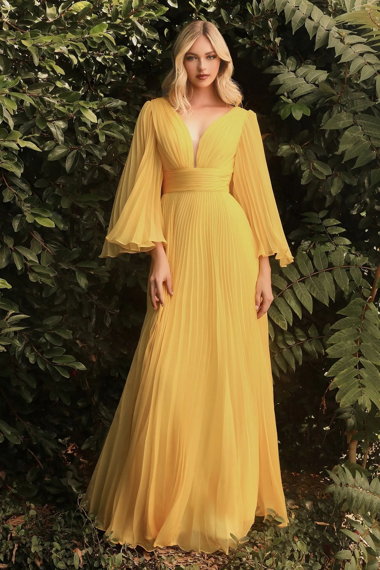 Pleated Chiffon Gown with Deep V-neckline, perfect for Mother of the Bride!